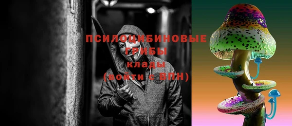 ГАЛЛЮЦИНОГЕННЫЕ ГРИБЫ Абинск