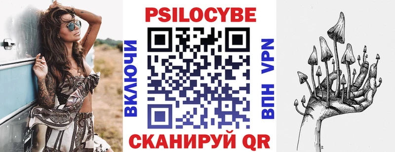 Галлюциногенные грибы Psilocybe  MEGA tor  Россошь 